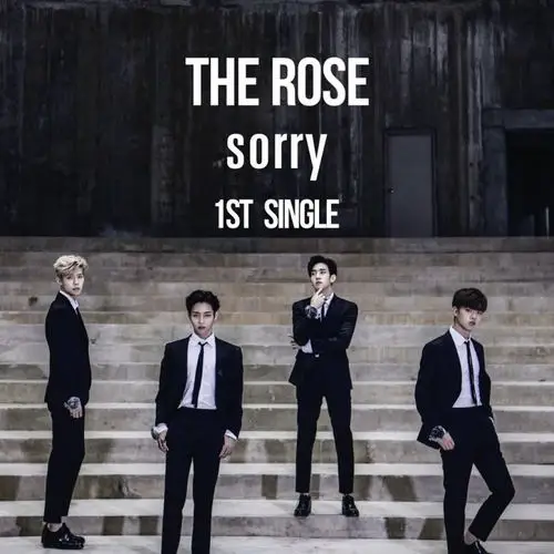 The Rose Sorry Single Album Cover